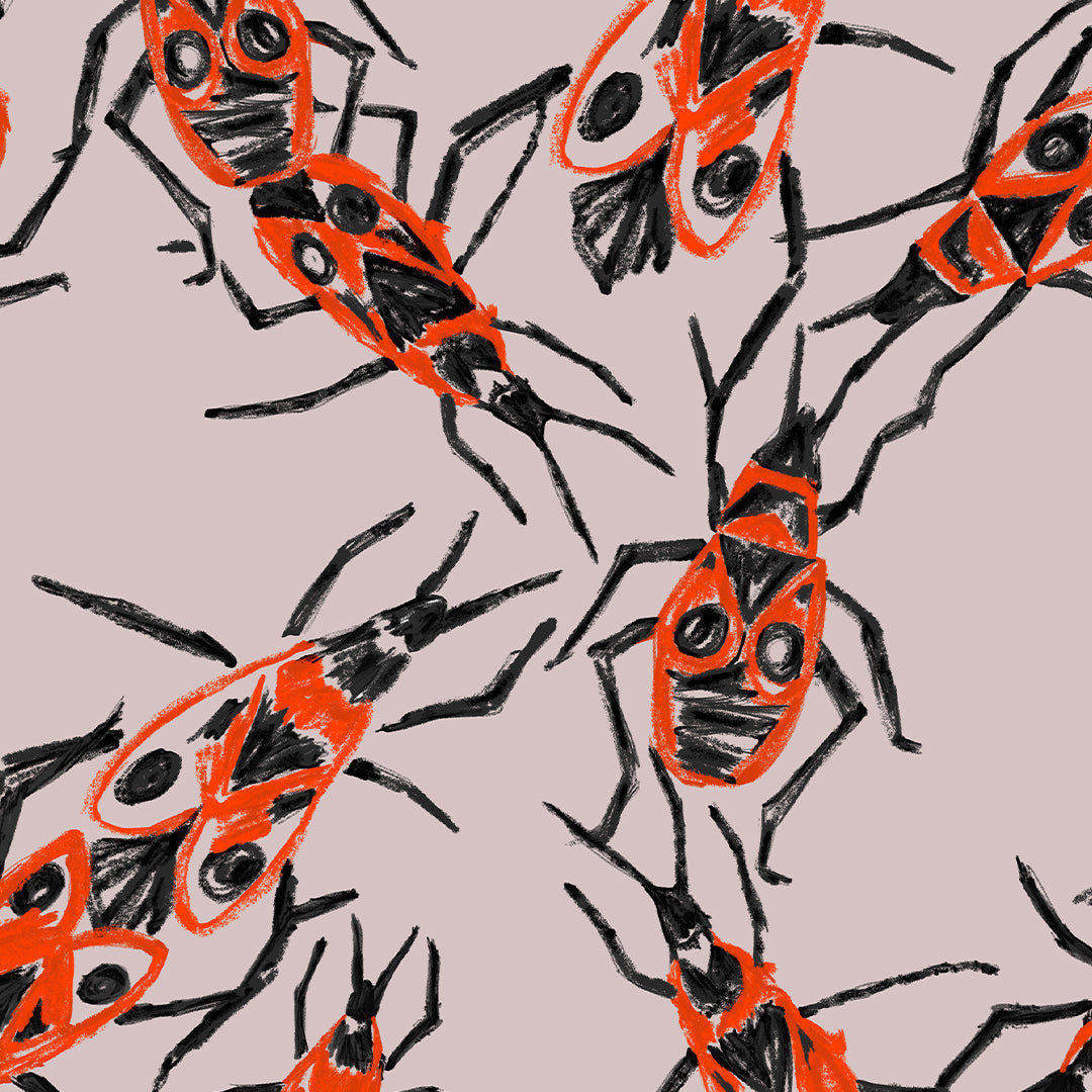 Firebug