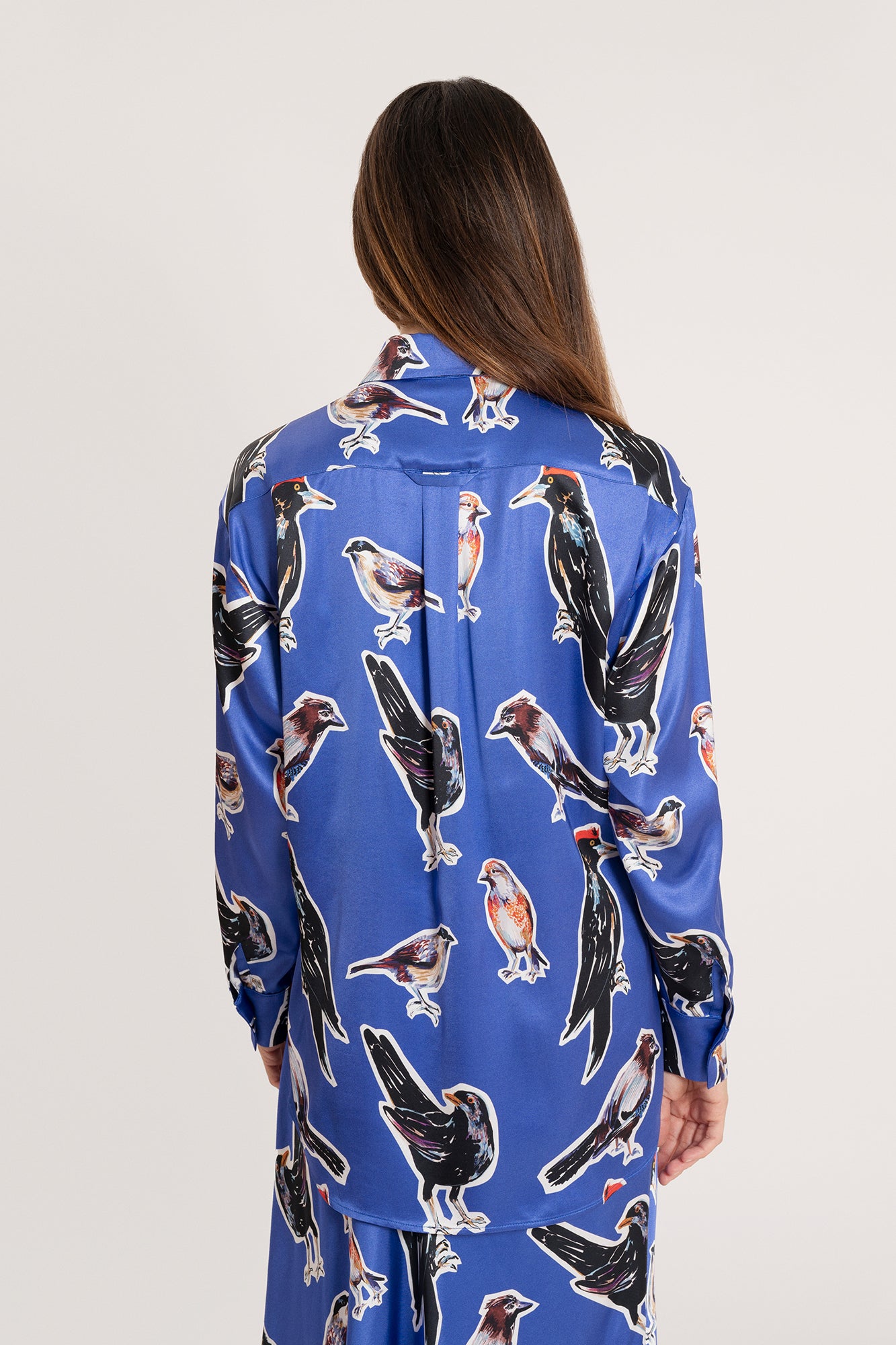 MORPHINI oversized shirt 'Big birds'