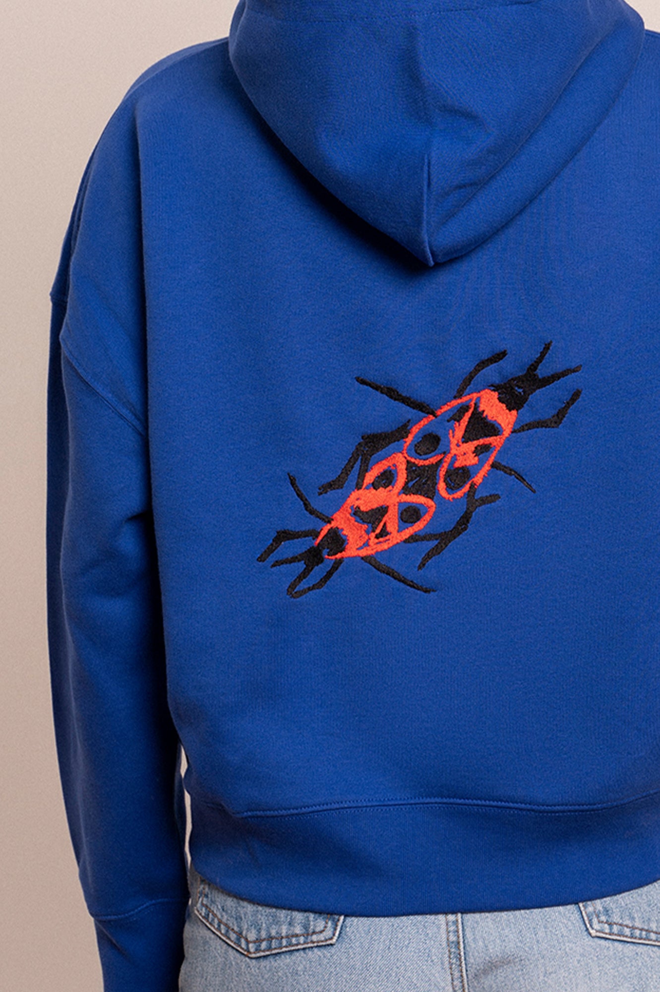 'FIREBUG' hooded sweatshirt blue